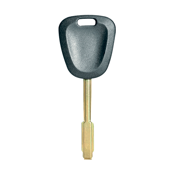 For Jaguar TBE1 T13 (4D60 80BIT) GENERIC Transponder Key   w/AFT Chip